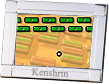251 Kb