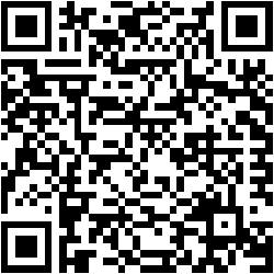 القول الوجيز في شرح النفيس